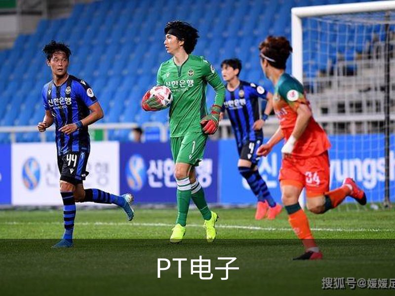 关于PT电子